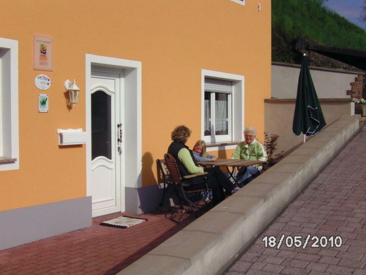 Sonnigesuedeifel Apartment Seffern Екстериор снимка